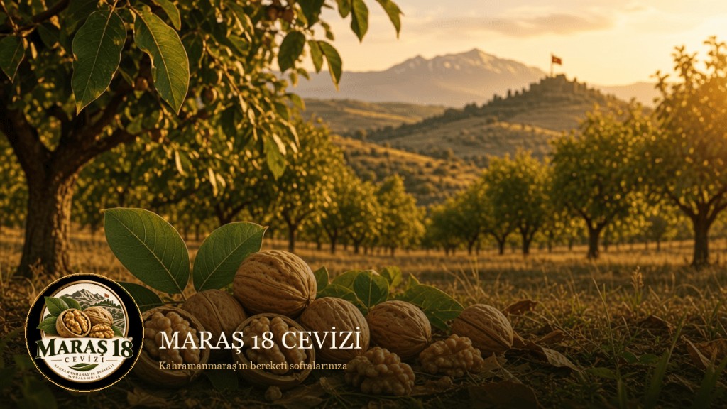 Maraş 18 Cevizi Nedir? Özellikleri ve Farkı